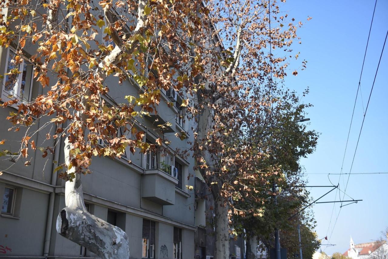 Friendly Home Apartment Βελιγράδι Εξωτερικό φωτογραφία